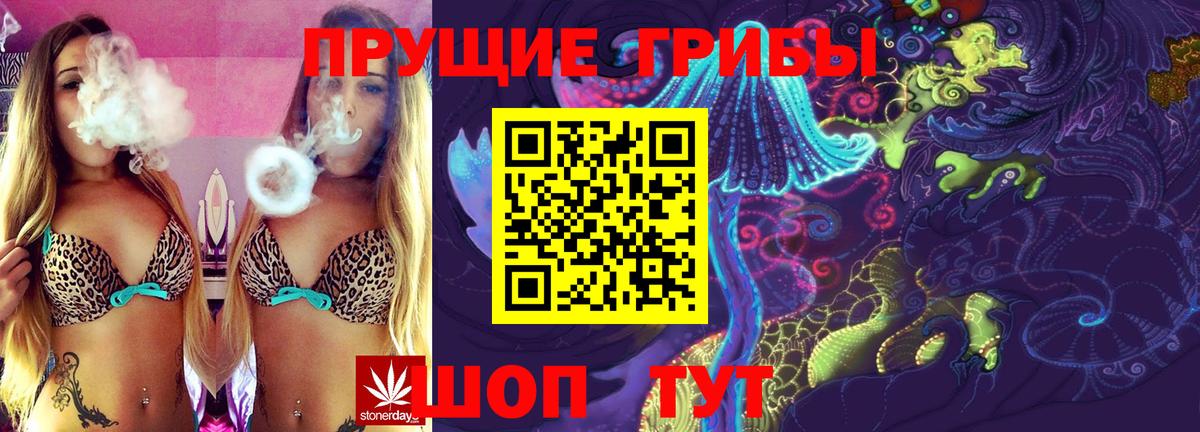 Псилоцибиновые грибы Psilocybe  Галлюциногенные грибы прущие грибы  Орехово-Зуево  Вход с VPN 